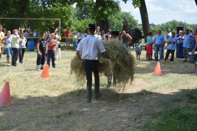 Ügyességi erőbajnokság